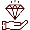 USP Icon 1